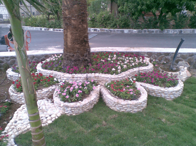 הקמה ועיצוב גינה